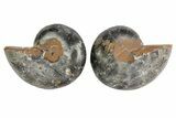 Cut/Polished Ammonite Pair - Unusual Black Color #166733-1